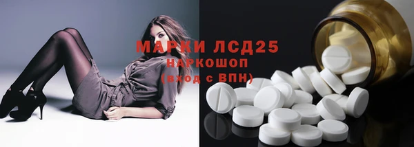 стаф Алексин