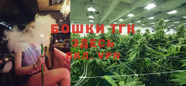 индика Арсеньев