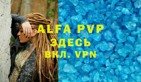 стаф Алексин