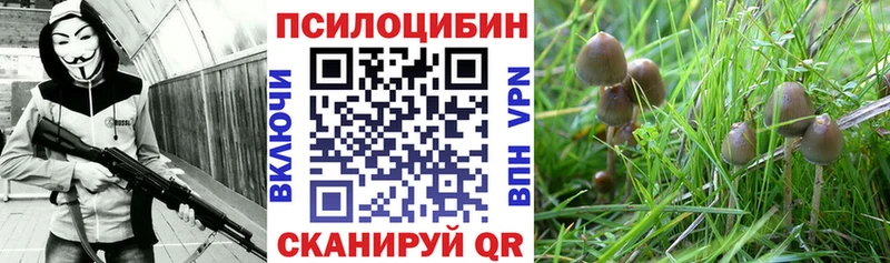 Галлюциногенные грибы прущие грибы  Ахтубинск 