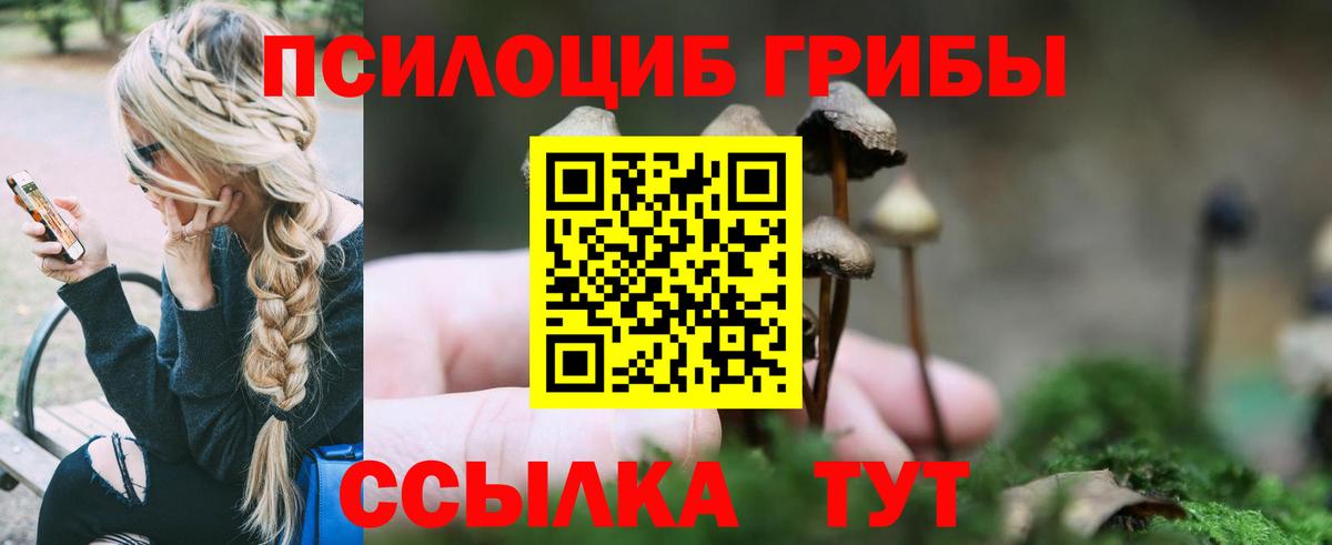 Галлюциногенные грибы Psilocybine cubensis  Вход с VPN  Ахтубинск  где можно купить наркотик  Псилоцибиновые грибы мухоморы 